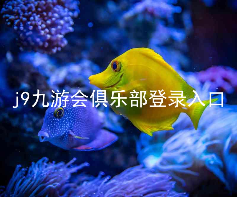 j9九游会俱乐部登录入口